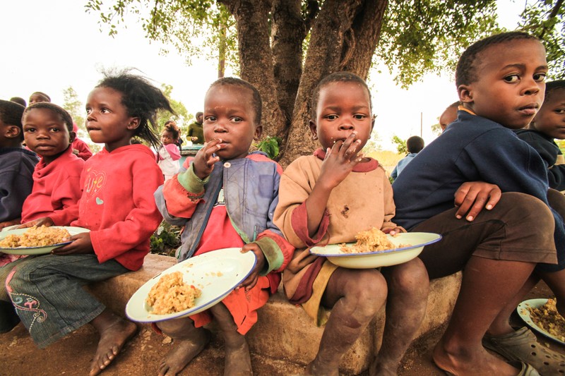 Collaborative Non-Profit Efforts to Combat Hunger Worldwide