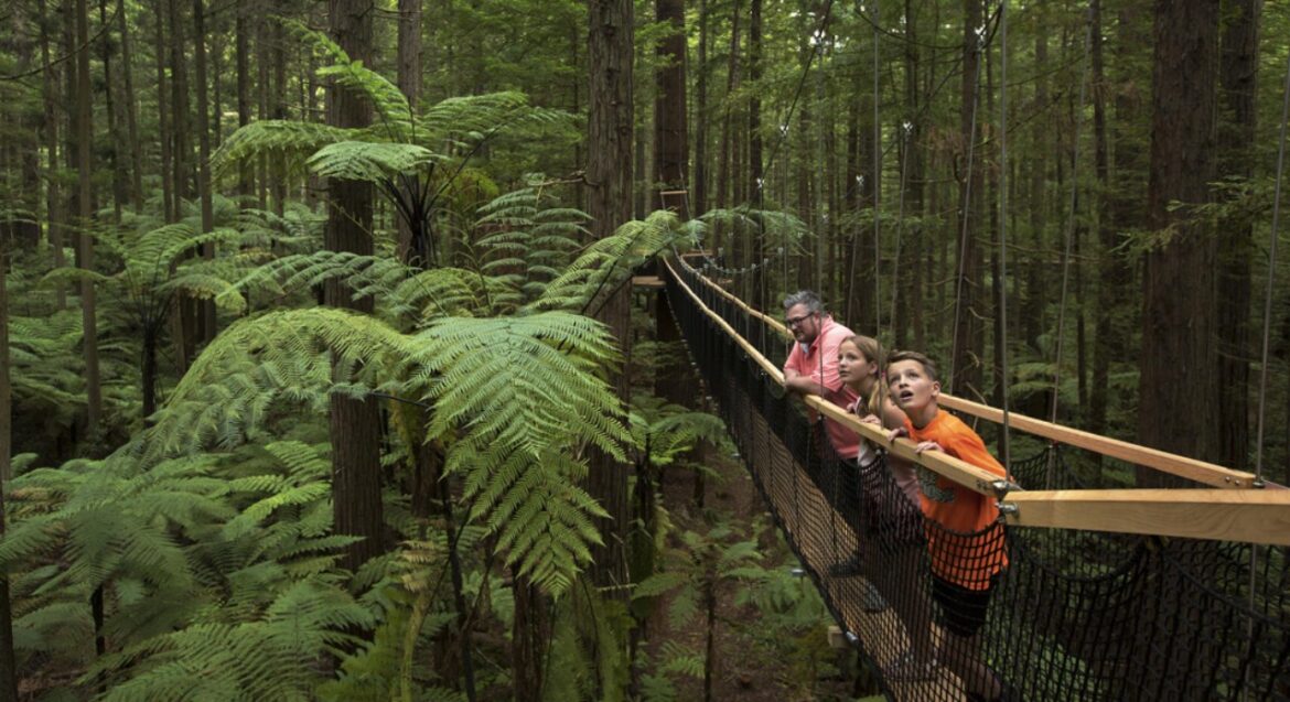 Experience the Adventure: Exciting Things to Do in Rotorua, NZ for Knowledgeable Travelers