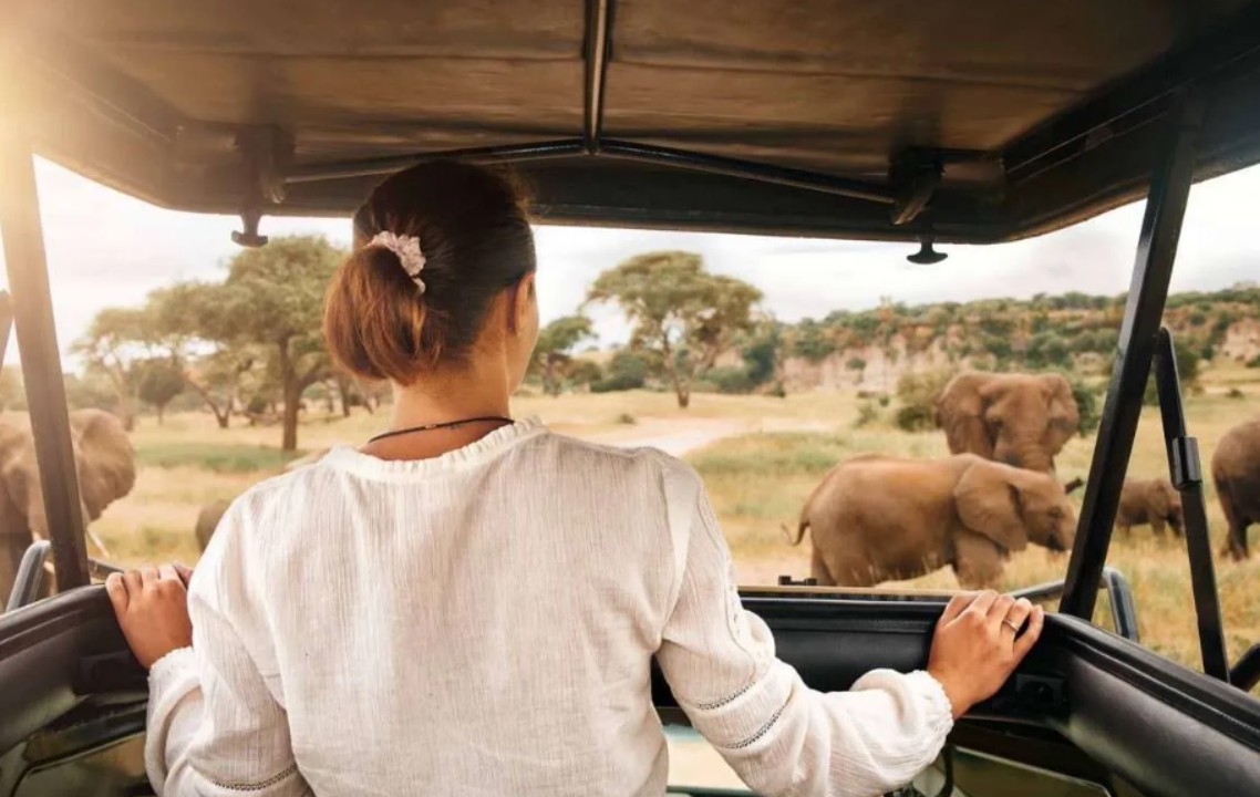 Explore Rwanda Safely: A Guide to Responsible Solo Safari Travel