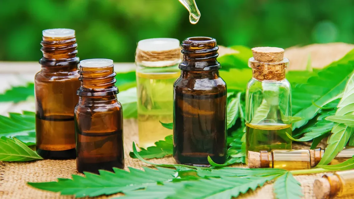 The Things You Should Know about the CBD oil