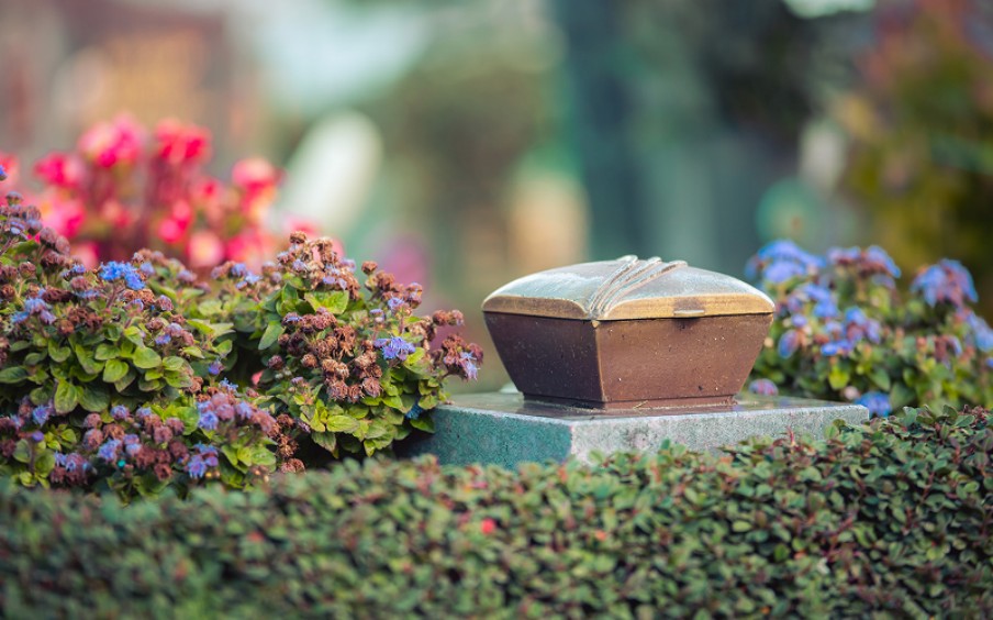 3 Best-Kept Secrets for Finding a Pet Funeral in Singapore